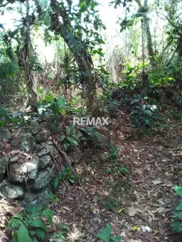 Vista 4