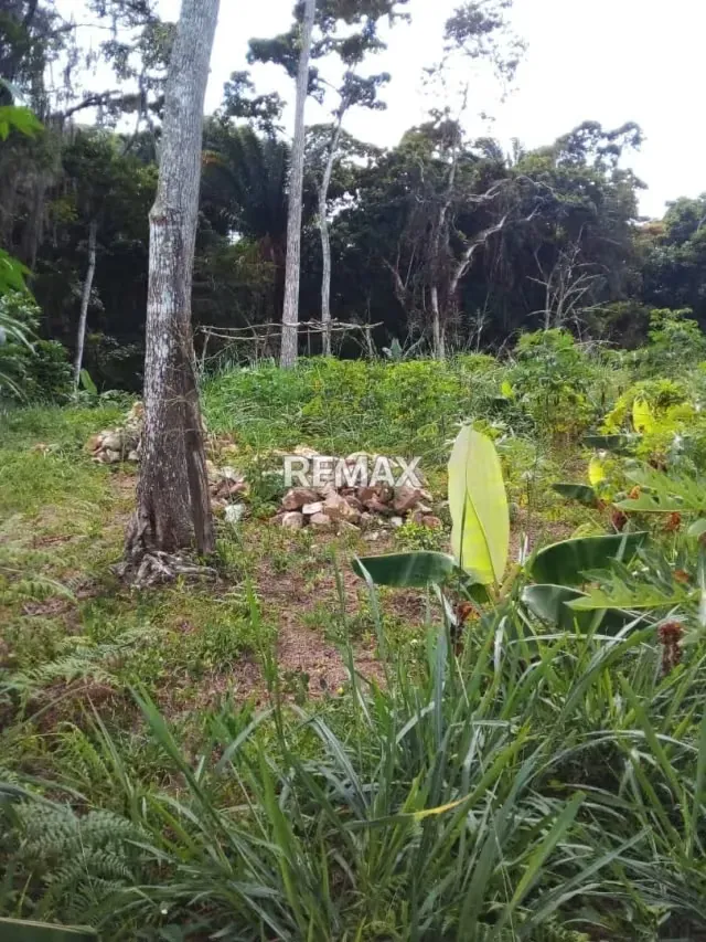 Terreno en San Juan de Colon - 5