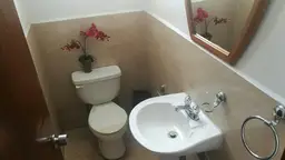 View 27