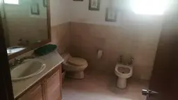 View 44