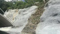 View 55