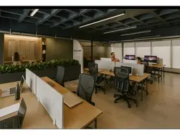 Vista 1