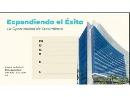 Vista 6