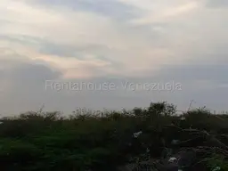 Vista 12