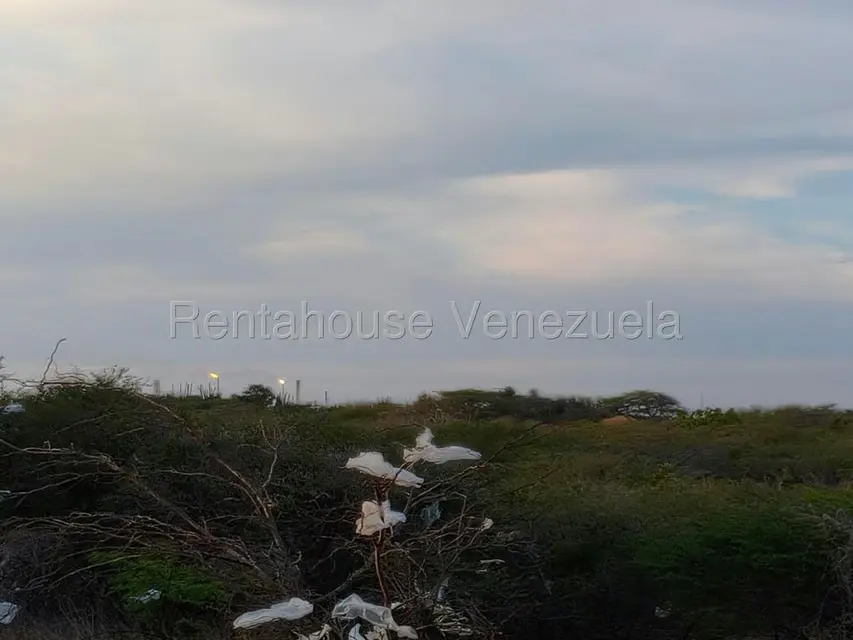Terreno (Residencial) en Venta en Punto Fijo, Falcon - 13