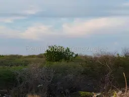 Vista 14