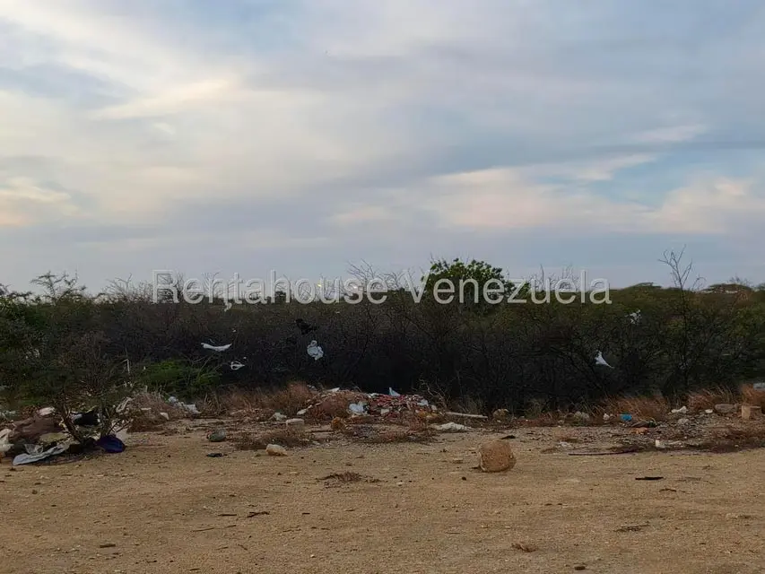 Terreno (Residencial) en Venta en Punto Fijo, Falcon - 9