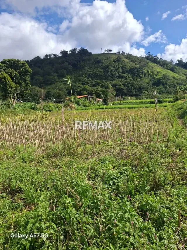 Se vende terreno ubicado en el fical aldea salomon