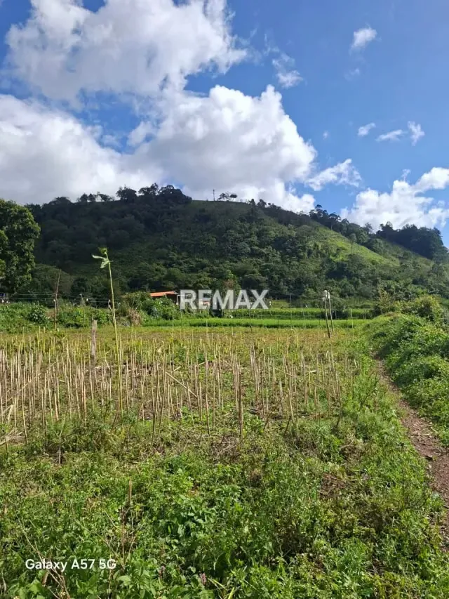Se vende terreno ubicado en el fical aldea salomon - 2