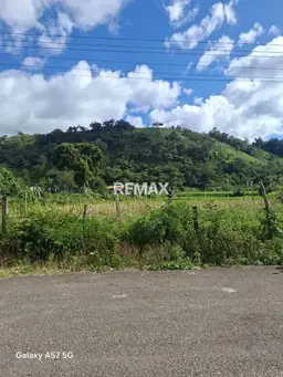 Vista 3