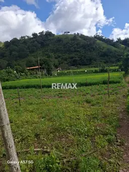 Vista 4