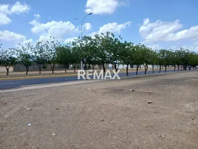 Se Vende Lote de Terreno en Excelente Ubicación Coro Edo. Falcón - 19
