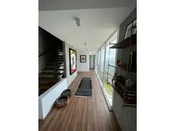 Vista 5