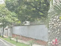View 41