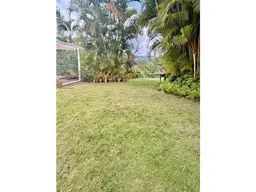 Vista 1