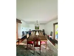 Vista 5