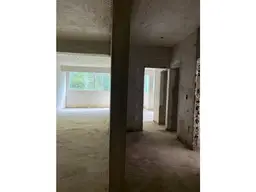 Vista 19