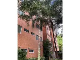 Vista 5