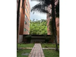 Vista 6