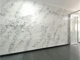 Vista 14