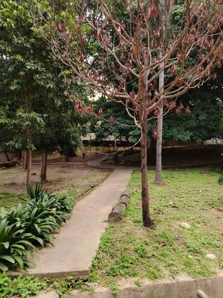 ¡Tu hogar ideal al mejor precio en la Urbanización Terrazas del Ávila! - 30