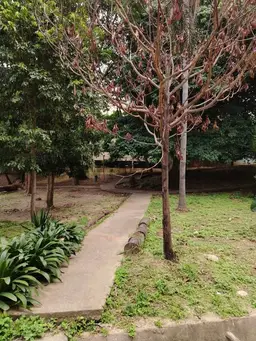 View 30