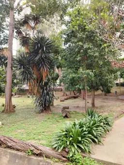View 31
