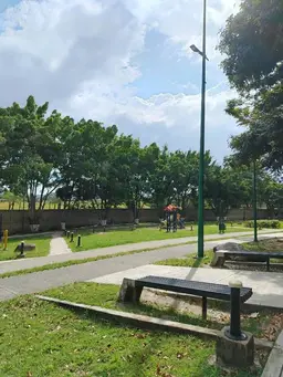 View 32