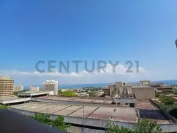 Vista 14