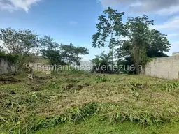 Vista 6