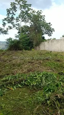 Vista 10