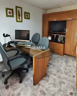 Vista 4