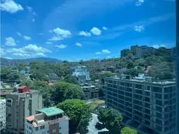 Vista 19