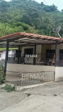 View 1