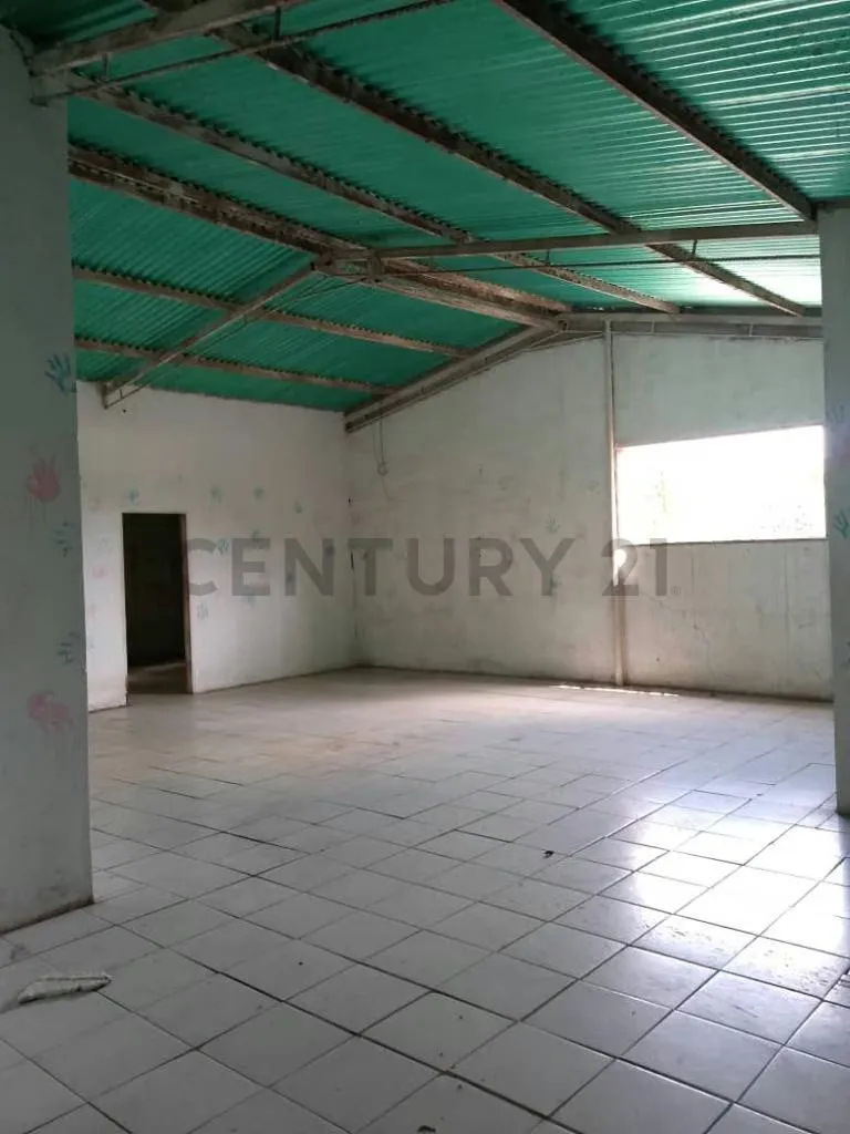 Local comercial en alquiler en avenida principal de Punta de Mata - 6
