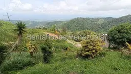 View 25