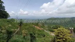 View 27