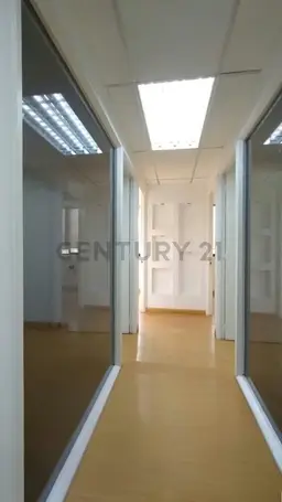 Vista 5