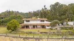Vista 1