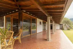 Vista 19