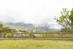Vista 38