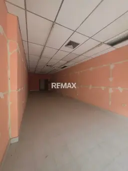 Vista 4