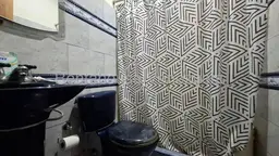 Vista 24
