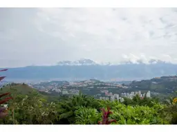 Vista 7