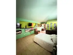 Vista 19