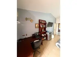 Vista 20
