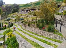 View 10