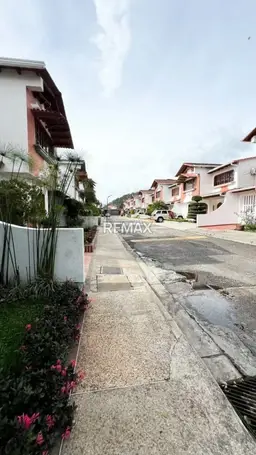 Vista 14