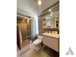 Vista 12