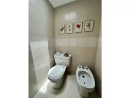 Vista 15